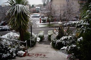 CHGHsnow