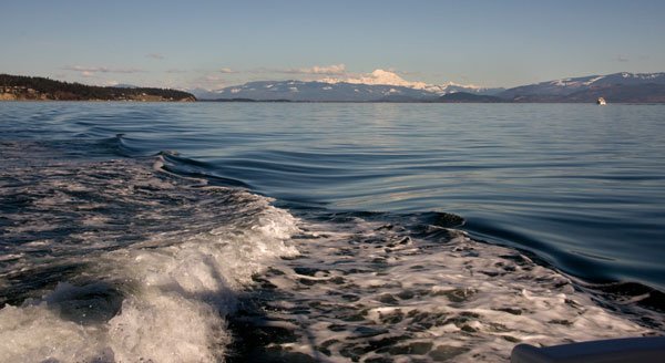 anacortestoshilshol_0085.jpg