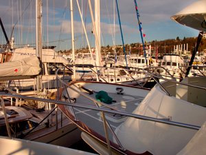 boatshow2.jpg