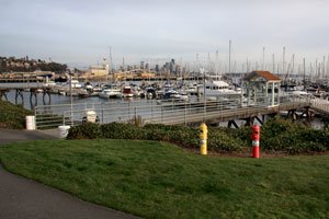elliot-bay_0020.jpg