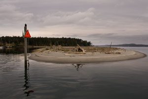 cruisebacktofridayharbor-24.jpg