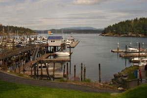 fridayharbor-6.jpg