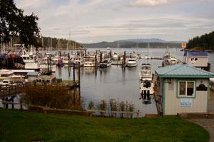 fridayharbor-8.jpg