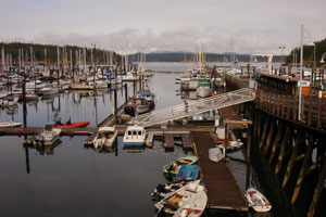 fridayharbor_0050.jpg