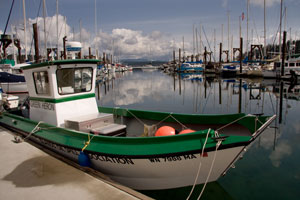fridayharbor_105.jpg