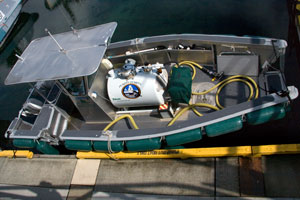 fridayharbor_114.jpg