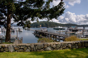 fridayharbor_123.jpg