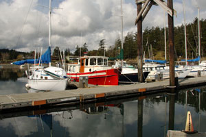 fridayharbor_92.jpg