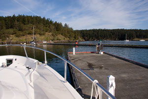 frimornfrihbr-2.jpg