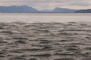 toreidbaystuartisland_0052.jpg