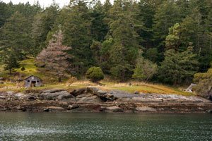 toreidbaystuartisland_0061.jpg