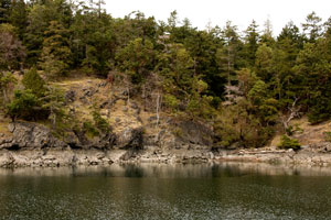 toreidbaystuartisland_0090.jpg