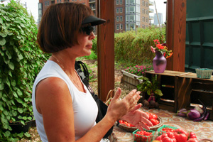 farmersmarket-4.jpg