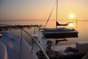 ivymarina-9.jpg
