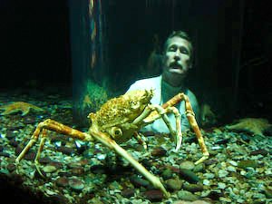 aquarium-112.jpg