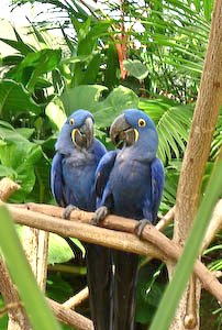 aquarium-30.jpg