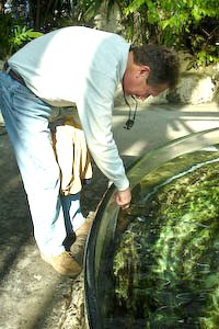 aquarium-36.jpg