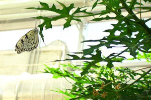 aquarium-51.jpg