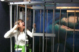aquarium-85-edit.jpg