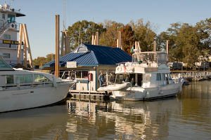 demopolis-22.jpg