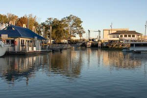 demopolis-42.jpg