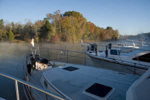 foggymorning-13.jpg