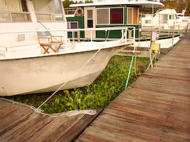 piratesmarinacove-36.jpg
