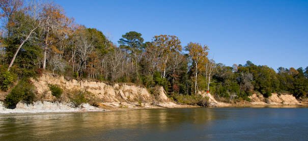 todemopolis-87.jpg
