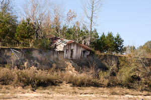 tolockone-187.jpg