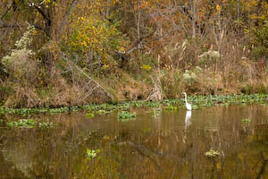 topickensville-3.jpg