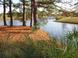 baypointwalk-9.jpg