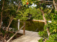 cayocostapark-7.jpg