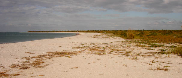 cayocostapark.jpg