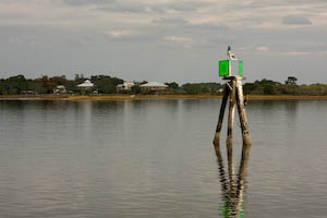 cedarkeyanchor-7.jpg