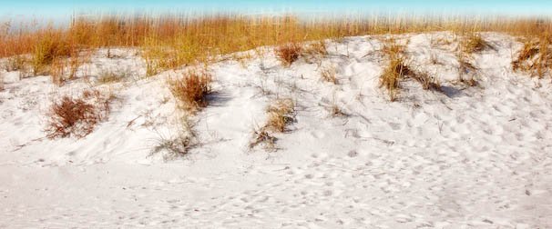 destin-24-edit.jpg