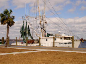 downtown-34.jpg