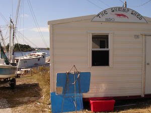 seafoodforsale-4.jpg