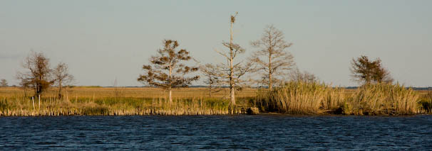 toapalachicola-132.jpg