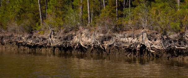 toapalachicola-30.jpg