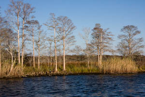 toapalachicola-99.jpg