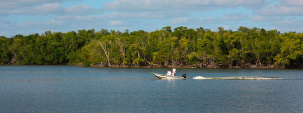 toeverglades-23.jpg