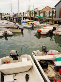 downtownmarinas-6.jpg