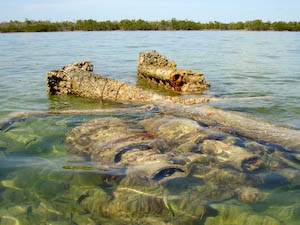snorkeling-28.jpg