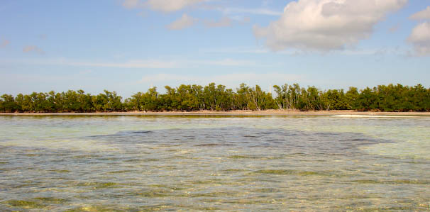 snorkeling-35.jpg
