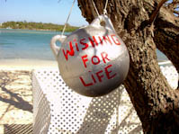 getwelltree-3.jpg