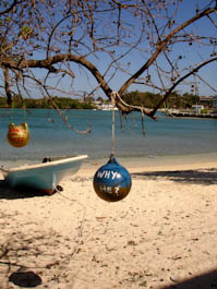 getwelltree-5.jpg