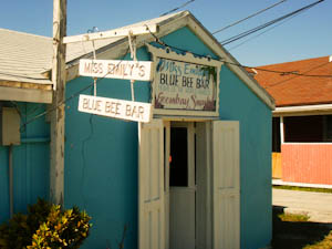 missemilysbluebeebar-3.jpg