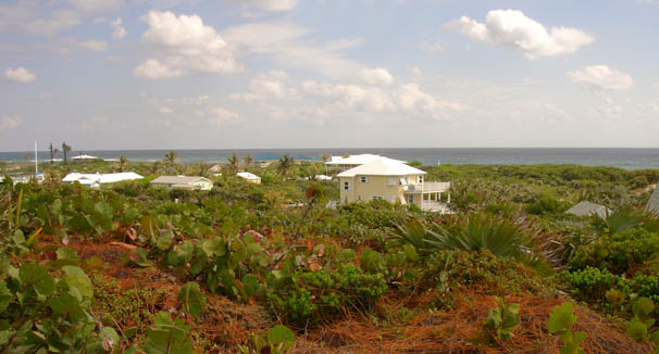 walkonhill-4.jpg