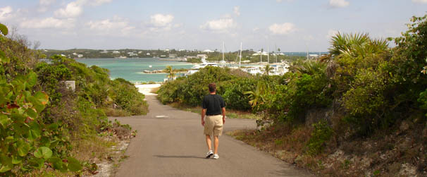 walkonhill-6.jpg