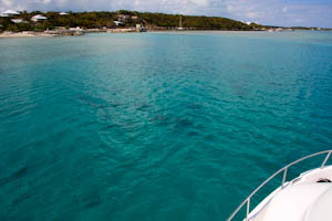 Back to the Marina Via Snake Cay mantarays 1 Back to the Marina Via Snake Cay